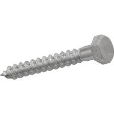 Coach Screw M10x60mm