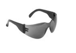 POLYCARBONATE FRAME GOGGLE WITH SMOKE BLACK LENS
