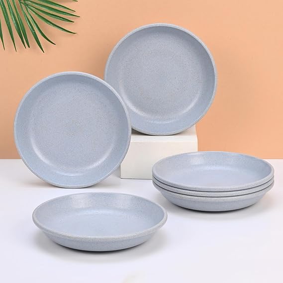 Small Plates Set for Snacks Set of 6 - Size 6 inch