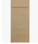 Brown Envelope Size 11Inch X 5Inch